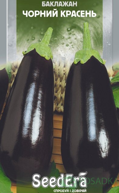 картинка Семена Баклажан Черный красавец 0.5 г, SeedEra 