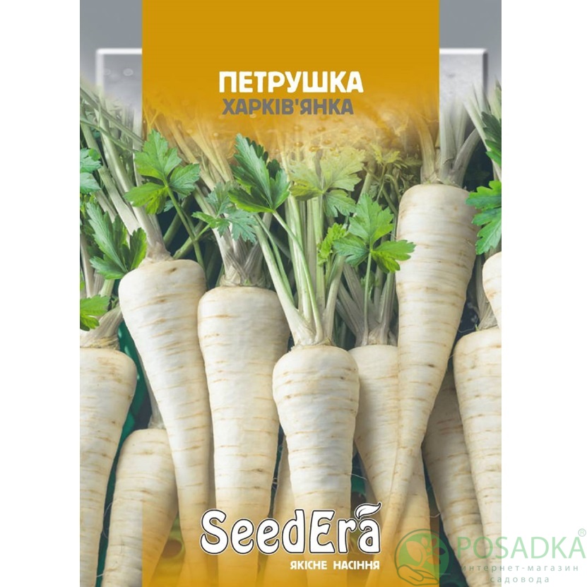 картинка Семена Петрушка Харьковчанка корневая 20 г, Seedera 
