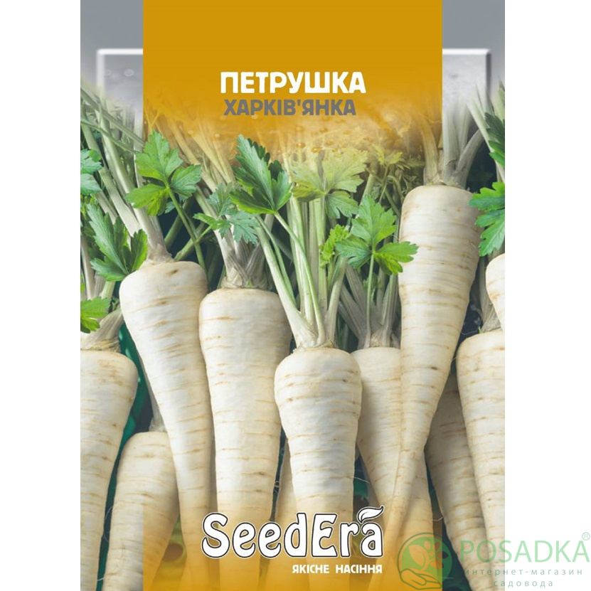 картинка Семена Петрушка Харьковчанка корневая 20 г, Seedera картинка Семена Петрушка Харьковчанка корневая 20 г, Seedera