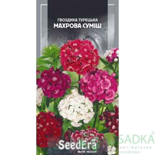 картинка Гвоздика Турецкая Махровая Смесь 5 г SeedEra 