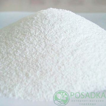 картинка Янтарная кислота 