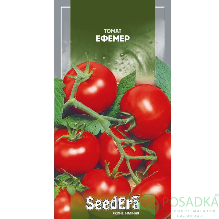 картинка Семена Томат Эфемер 3 г, SeedEra картинка Семена Томат Эфемер 3 г, SeedEra