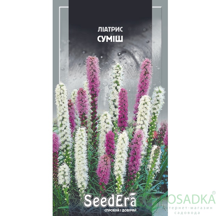 картинка Семена Лиатрис Смесь 0,2 г, Seedera картинка Семена Лиатрис Смесь 0,2 г, Seedera