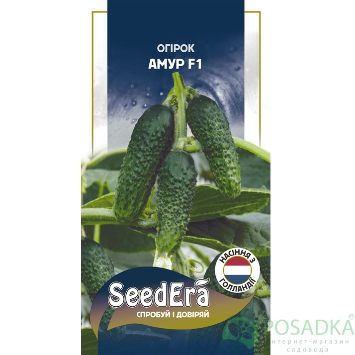 картинка Семена Огурец Амур F1, 10 шт, Seedera Profi 