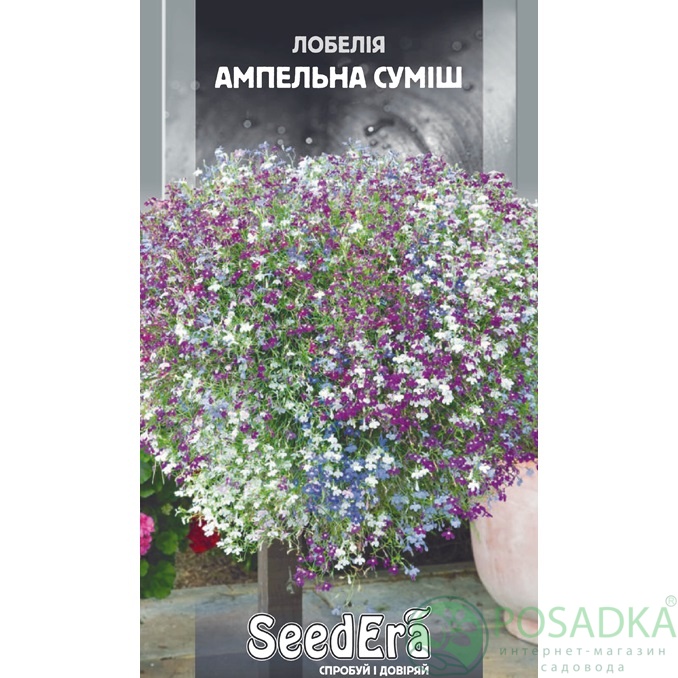 картинка Семена Лобелия Ампельная Смесь 0,1 г, SeedEra картинка Семена Лобелия Ампельная Смесь 0,1 г, SeedEra