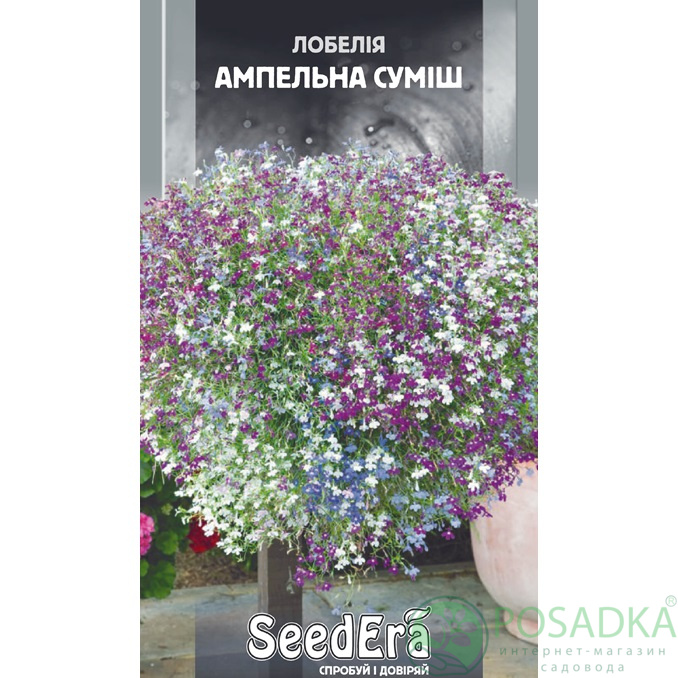 картинка Семена Лобелия Ампельная Смесь 0,1 г, SeedEra 