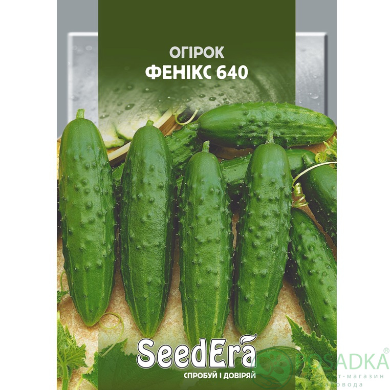 картинка Семена Огурец Феникс 640, 20 г, SeedEra 