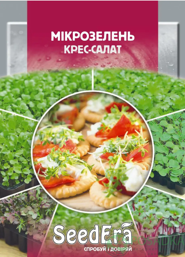 картинка Семена Микрозелень Кресс-салат 10 гр, SeedEra 