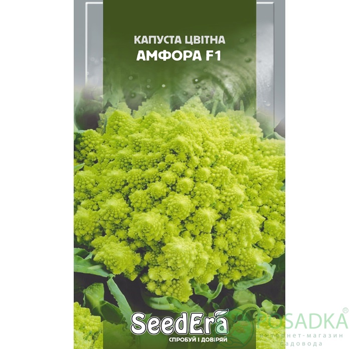 картинка Семена Капуста Цветная Амфора 30 шт Seedera 