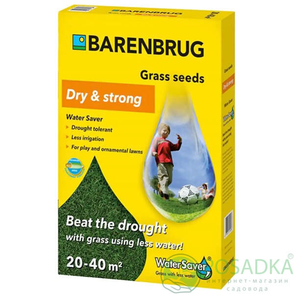 картинка Газонная трава Water Saver  1 кг Barenbrug 