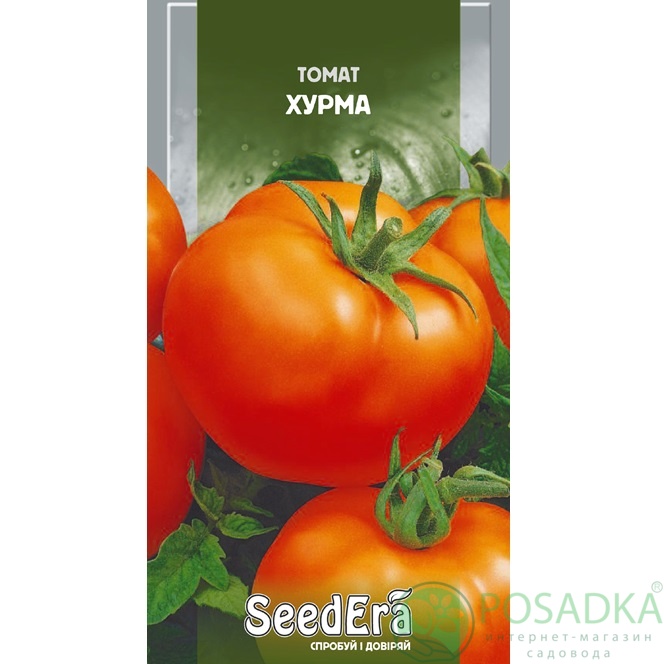 картинка Семена Томат Хурма 0.1 г, SeedEra  картинка Семена Томат Хурма 0.1 г, SeedEra