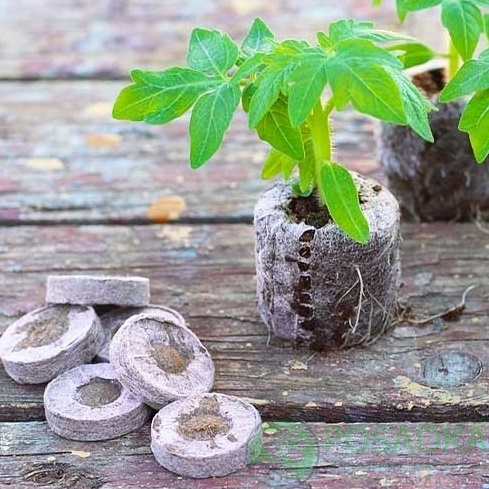 картинка Торфяные таблетки d 42мм 