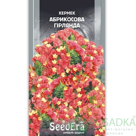 картинка Семена Кермек Выемчатый Абрикосовая Гирлянда 0,2г, Seedera картинка Семена Кермек Выемчатый Абрикосовая Гирлянда 0,2г, Seedera
