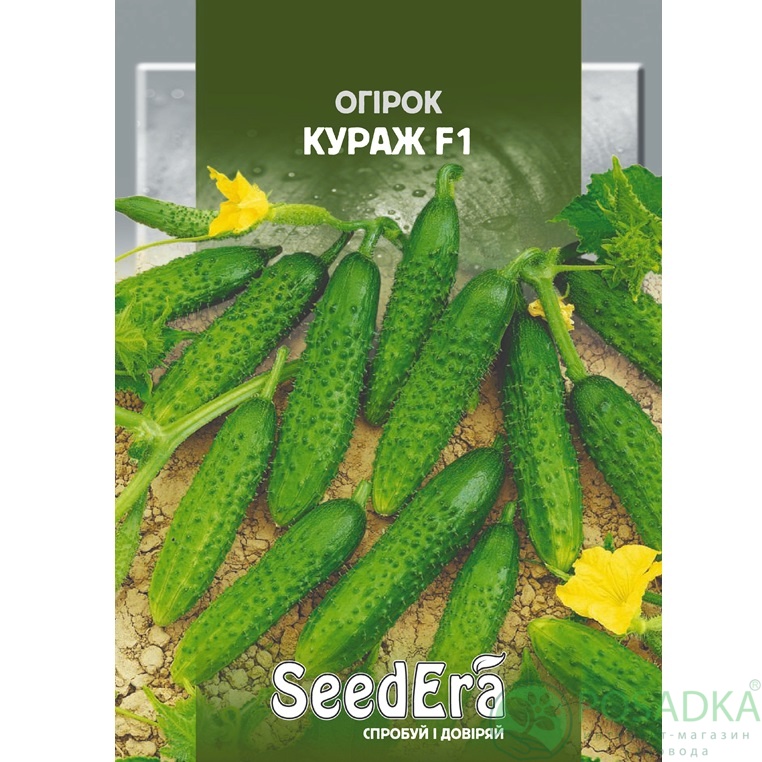 картинка Семена огурец Кураж F1, 10 шт, SeedEra 