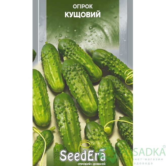 картинка Семена Огурец Кустовой 1 г, SeedEra картинка Семена Огурец Кустовой 1 г, SeedEra