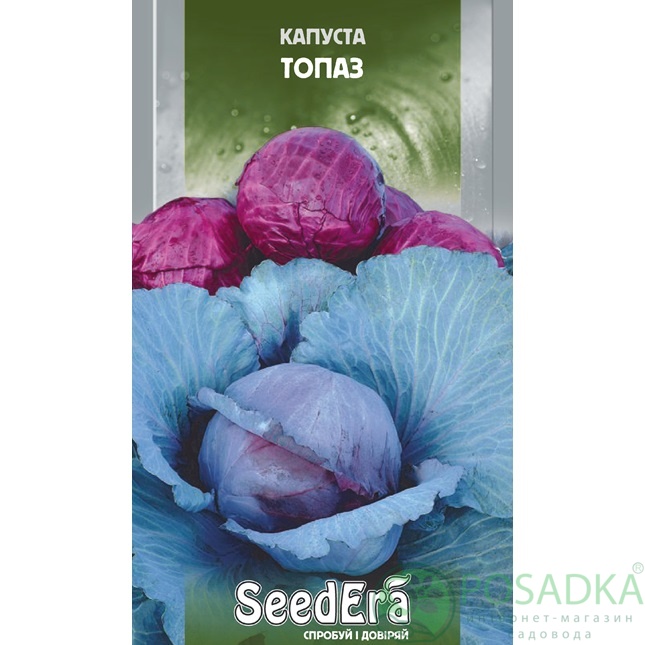 картинка Семена Капуста Красноголовая Топаз 0,5 г, Seedera 
