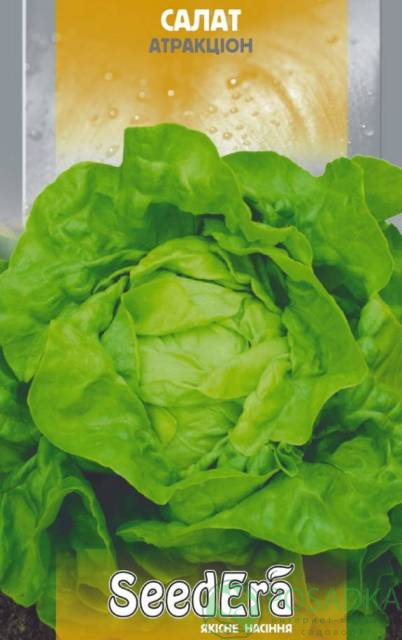 картинка Семена салат кочанный зелёный Аттракцион, 1 гр, SeedEra 