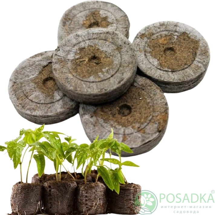 картинка Торфяные таблетки d 36 мм 