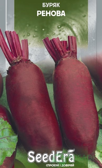 картинка Семена свекла столовая Ренова 3 г, SeedEra 