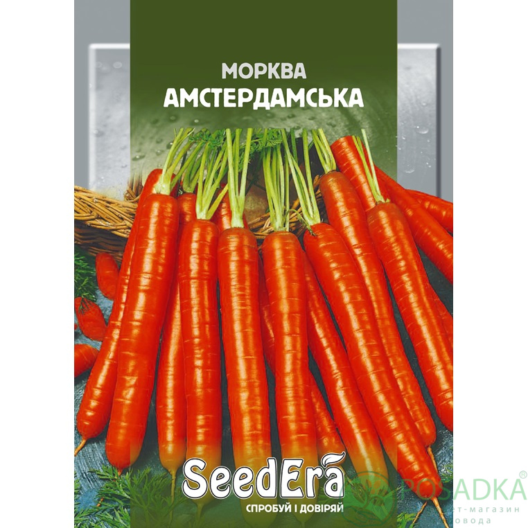 картинка Семена Морковь столовая Амстердамская 20 г, SeedEra 