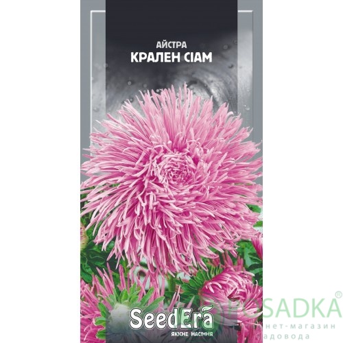 картинка Семена астра высокорослая Крален Сиам 0,25 г, Seedera 