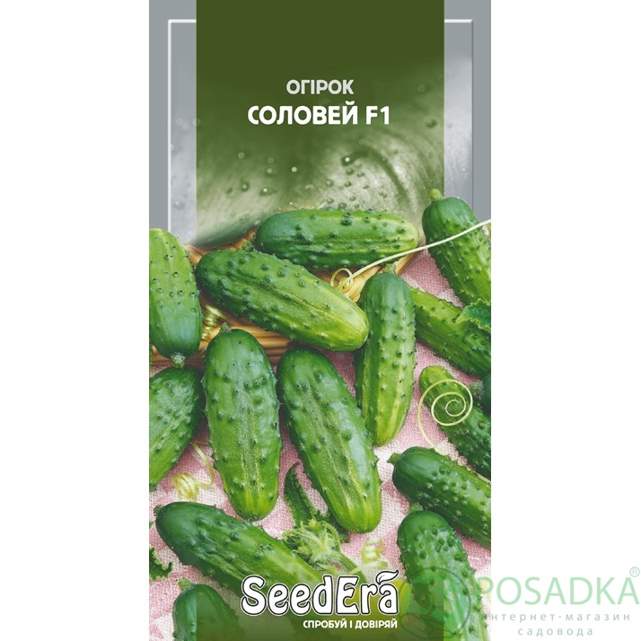 картинка Семена Огурец Соловей F1, 0,5г, Seedera 