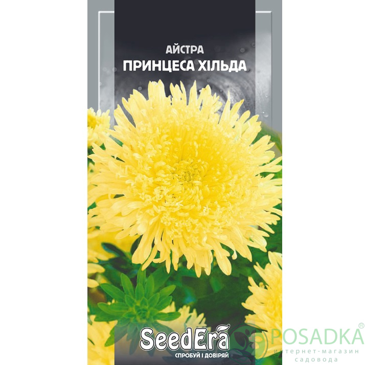 картинка Семена Астра Высокорослая Принцесса Хильда, 0.25 гр, SeedEra картинка Семена Астра Высокорослая Принцесса Хильда, 0.25 гр, SeedEra