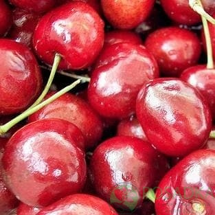 картинка Вишня Игрушка 