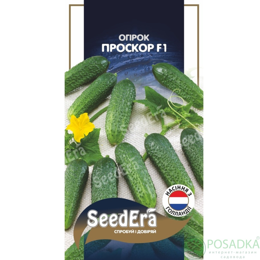 картинка Семена Огурец Проскор F1, 10 шт, Seedera Profi картинка Семена Огурец Проскор F1, 10 шт, Seedera Profi
