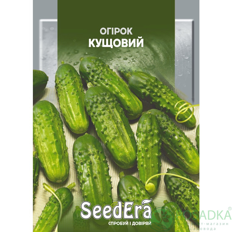 картинка Семена Огурец Кустовой 20 г, SeedEra 