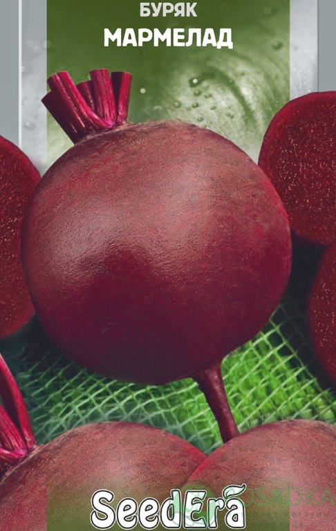 картинка Семена свекла столовая Мармелад семена 3 г, SeedEra 