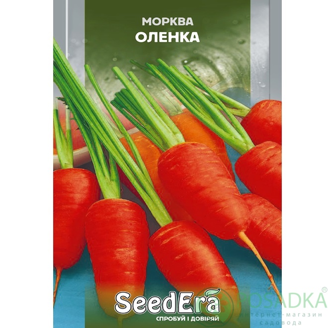 картинка Семена Морковь столовая Алёнка 20 гр, Seedеra 