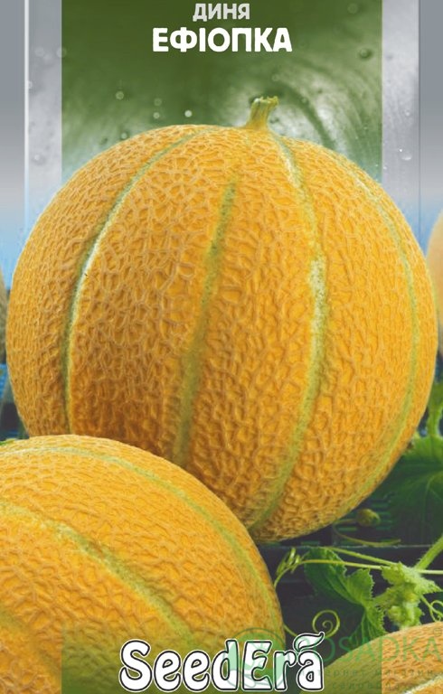 картинка Семена Дыня Эфиопка 2 г, Seedera 