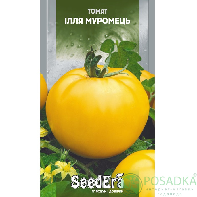 картинка Семена Томат Илья Муромец 0.2гр, SeedEra картинка Семена Томат Илья Муромец 0.2гр, SeedEra