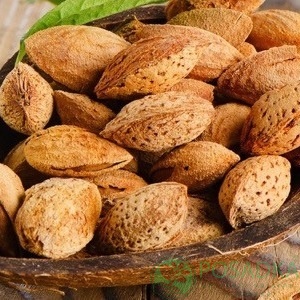 картинка Миндаль Прибрежный (привитой) 