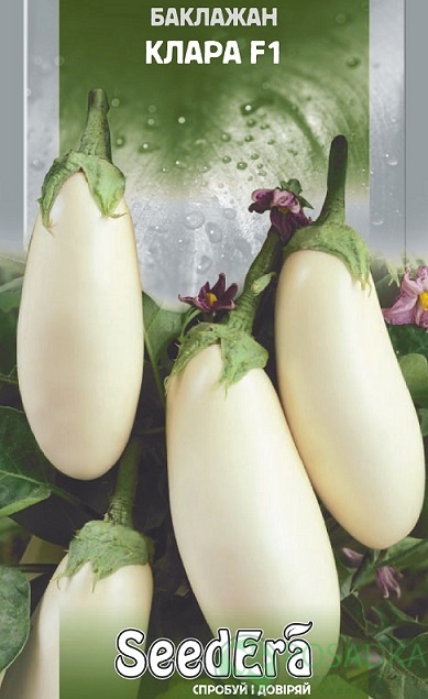 картинка Семена Баклажан Клара F1, 0.3 г, SeedEra 