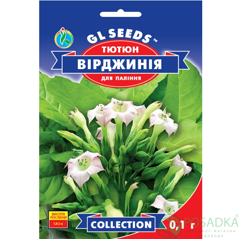 картинка Семена Табак курительный Вирджиния 0.1г TM GL Seeds 