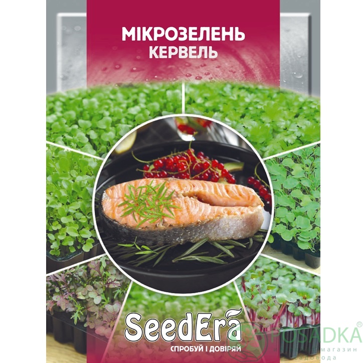 картинка Семена Микрозелень Кервель 10гр, SeedEra 