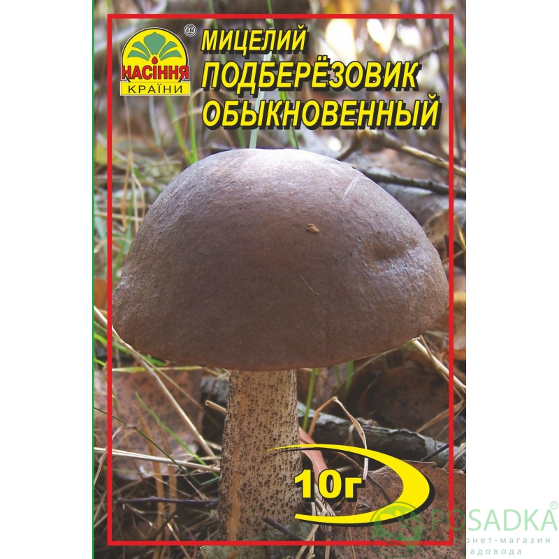 картинка Мицелий зерновой гриб Подберёзовик 10 г 