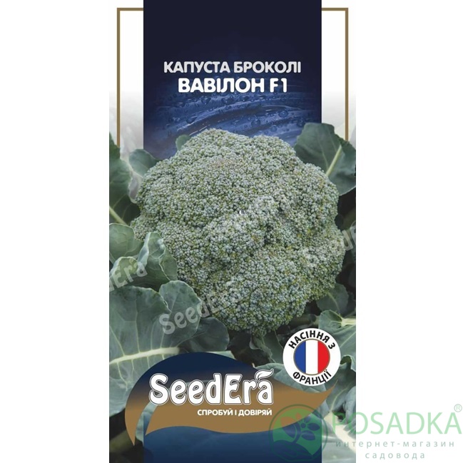 картинка Семена Капуста Брокколи Вавилон F1 20 шт, Seedera Profi 