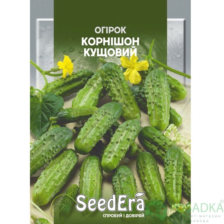 картинка Семена Огурец  кустовой 20 г SeedEra 
