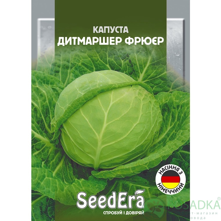 картинка Семена Капуста Белоголовая Дитмаршер Фрюер 10 г, Seedera 