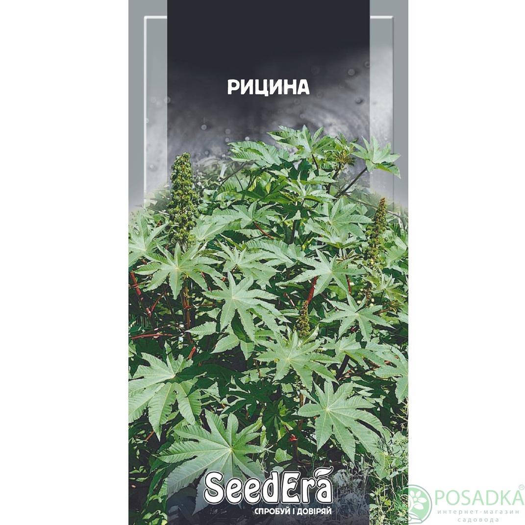 картинка Семена Клещевина 2.5г, Seedera 