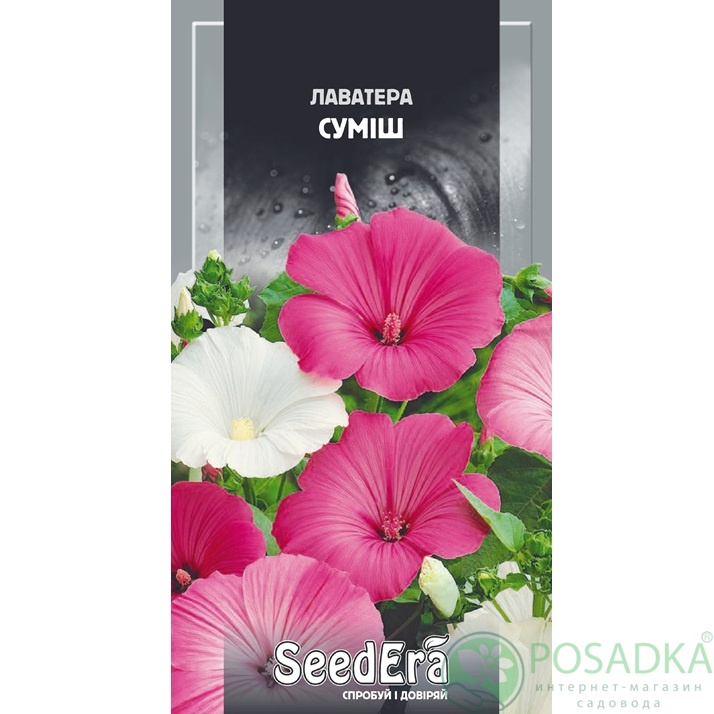 картинка Семена Лаватера смесь 0,2 г, Seedera 