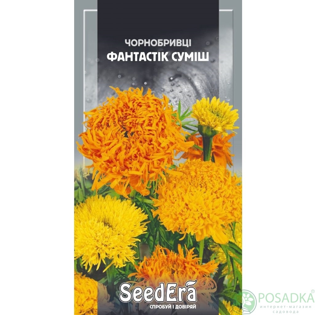 картинка Семена Бархатцы Высокорослые Фантастик Смесь 0,5г, Seedera 