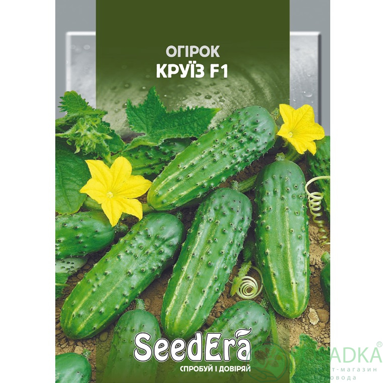 картинка Семена Огурец Круиз F1, 5 г, SeedEra 