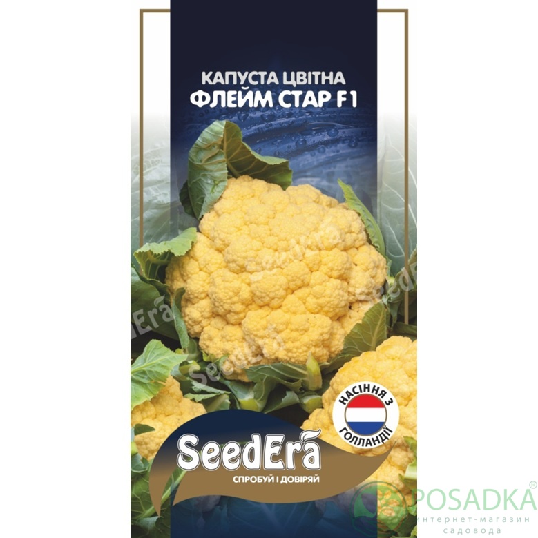 картинка Семена Капуста цветная Флейм Стар F1, 10 шт, Seedera Profi 