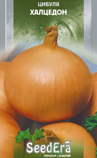 картинка Семена Лук Халцедон, 2гр, SeedEra 