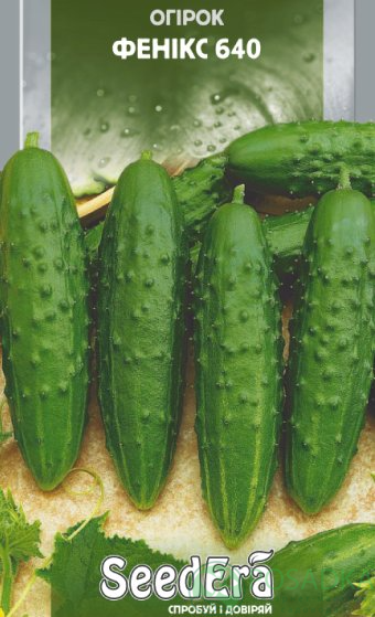 картинка Семена Огурец Феникс 640, 1 г, SeedEra 