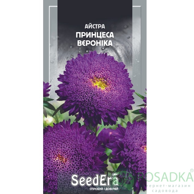 картинка Семена астра Принцесса Вероника 0.25г, SeedEra 
